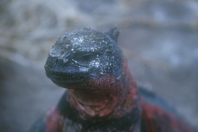 rtw986093