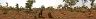 termiten_2