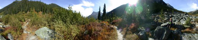 yoho_np_1