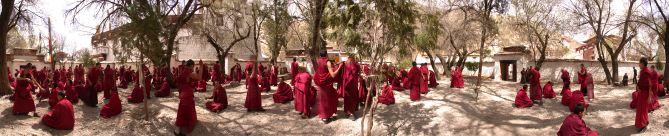 lhasa_13