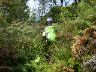 dscn2632