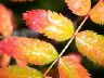dscn0156