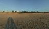 broome