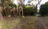 camping_tasmanien