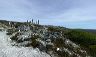 overland_trek_1