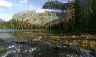 skokivalley_trek_3