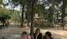 forbidden_city_9