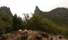yangshou_4