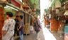 bird_market